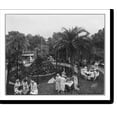 Historic Print, Jewel Box Tea Garden, Tampa, Florida, 16" x 20