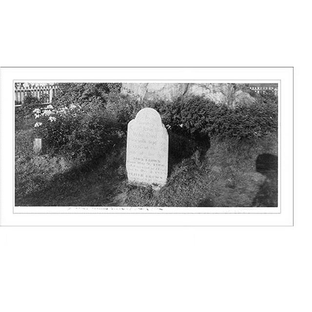Historic Print, John Brown's grave at North Elba [N.Y.], 16" x 20