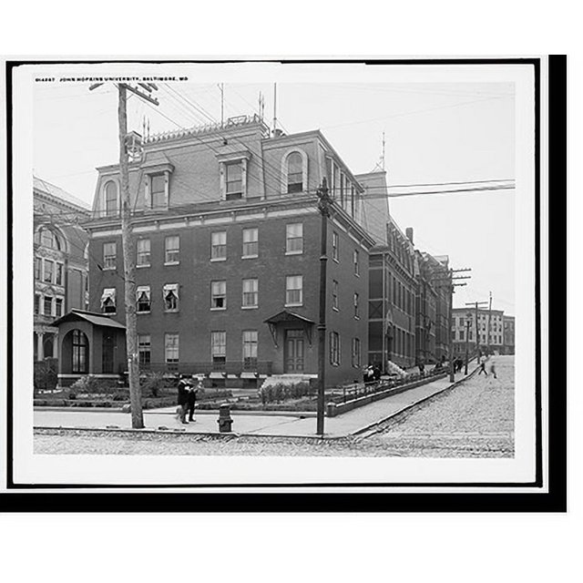 Historic Print, Johns Hopkins University, Baltimore, 16" x 20