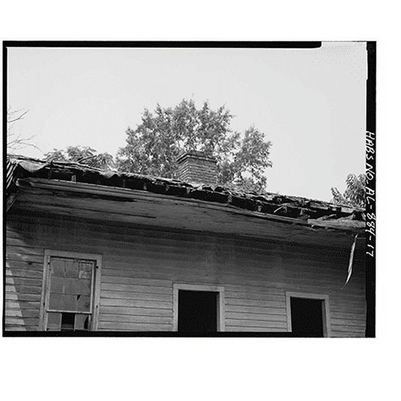 Historic Print, Josiah Haigler Plantation House, County Highway 37 North of U.S. Highway 80, Burkville vicinity, Lowndes County, AL - 10, 18" x 24"