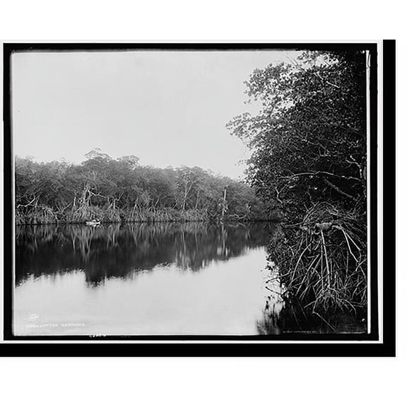 Historic Print, Jupiter Narrows, 16" x 20"