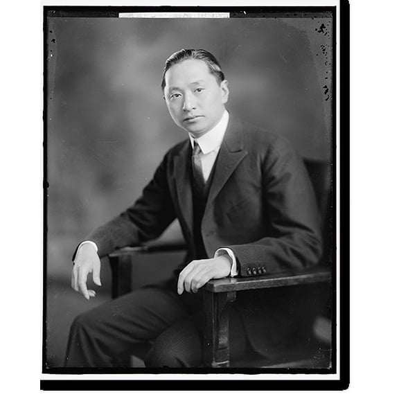 Historic Print, KOO, WELLINGTON. DOCTOR, 16" x 20"