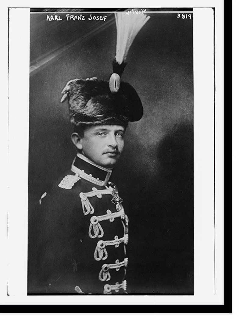 Historic Print, Karl Franz Josef 2, 16" x 20"