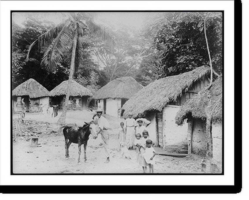 Historic Print, [Kingston, Jamaica, and vicinity natives and donkey in
