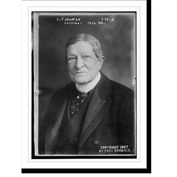 Historic Print, L.P. Morton, portrait bust, Pach Bros., N.Y..Pach Bros., 18" x 24"