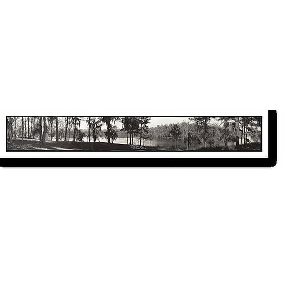 Historic Print, LA Winter A Louisiana scenery 1910 PHOTO, Width 11" x Length 49"
