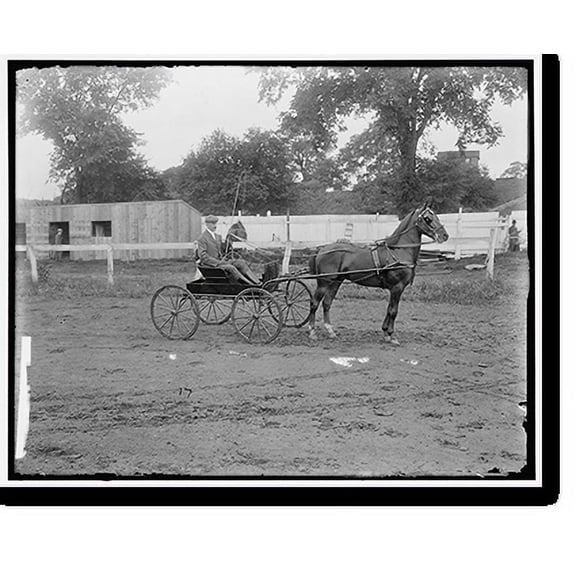 Historic Print, LEESBURG HORSE SHOW, 16" x 20"