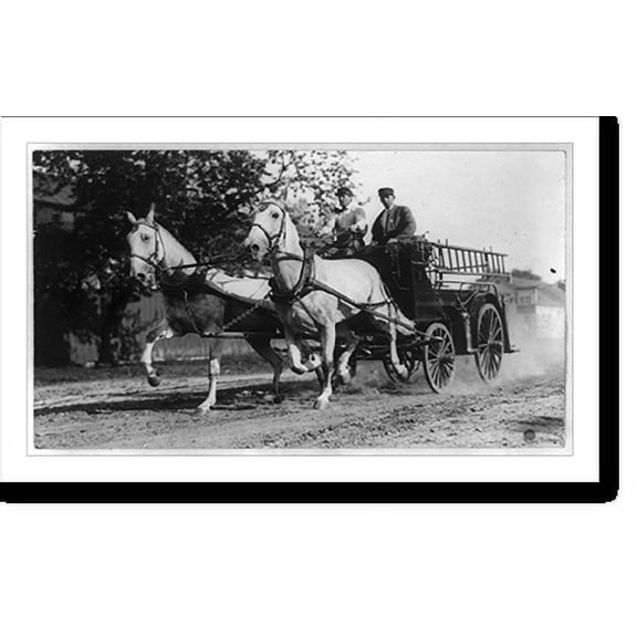 Historic Print, [Ladder truck of the Columbus (Ohio?) fire department], 18" x 24"