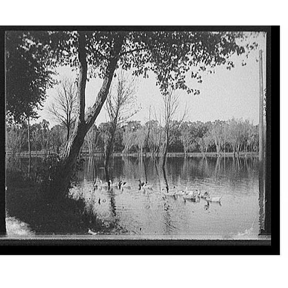 Historic Print, [Lake Como, Como Park, St. Paul, Minn.], 16" x 20"