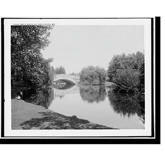 Historic Print, Lake in Beacon Hill Park, Victoria, B.C. - 2, 18" x 24"