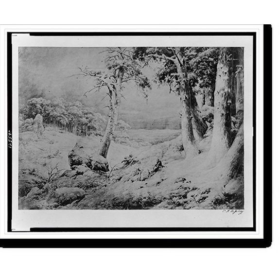 Historic Print, [Landscape with trees].C.F.L. Febr. 1835., 16" x 20"