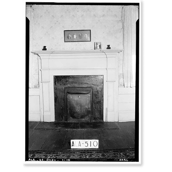 Historic Print, Lane House, 311 West Columbus Street, Dadeville, Tallapoosa County, AL - 10, 18" x 24"