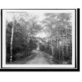thumbnail image 1 of Historic Print, Leslie Avenue, Mackinac Island, Mich., 16" x 20", 1 of 3