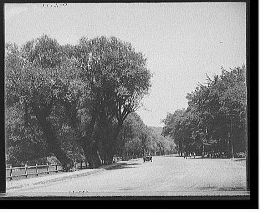 Historic Print, [Lincoln Drive, Fairmount Park, Philadelphia, Pa.] 2