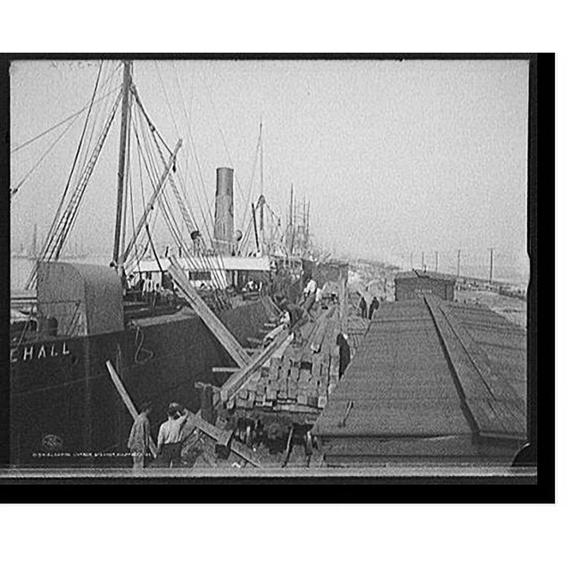 Historic Print, Loading lumber steamer, Gulfport, Miss. 2, 16" x 20"