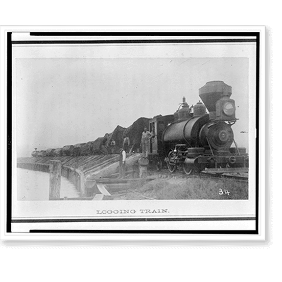 Historic Print, Logging train, 16" x 20"