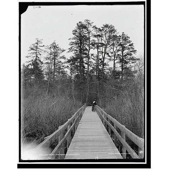Historic Print, Long bridge, Lake Carsaljo [sic], Lakewood, N.J., 18" x 24"