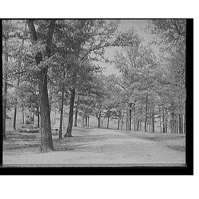 Historic Print, [Looking towards Bloody Pond, Chickamauga, Ga.], 16" x