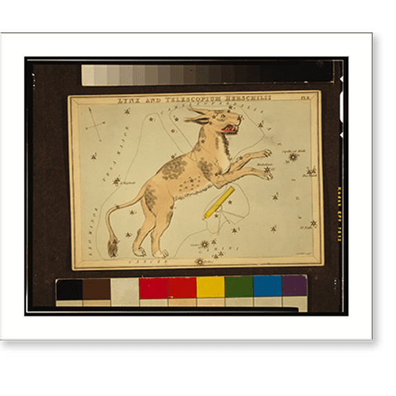 Historic Print, Lynx and Telescopium Herschilii.Sidy. Hall, sculpt., 16" x 20"