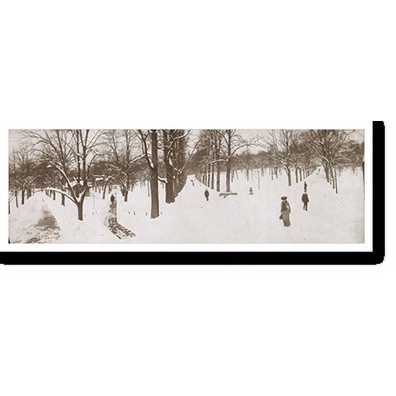 Historic Print, MA Boston Common 1904, 18" x 24"