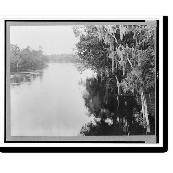 Historic Print, Madison County, Fla. Apr. 1930. A scene on the Suwannee River.photo by George W. Ackerman., 16" x 20"