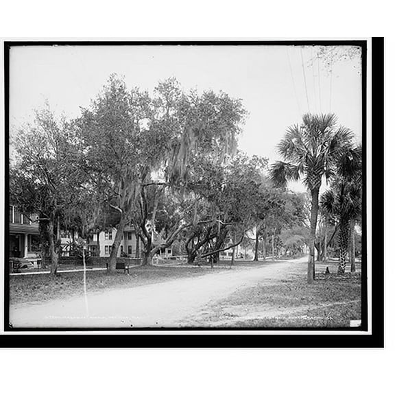 Historic Print, Magnolia Avenue, Daytona, Fla., 16" x 20"