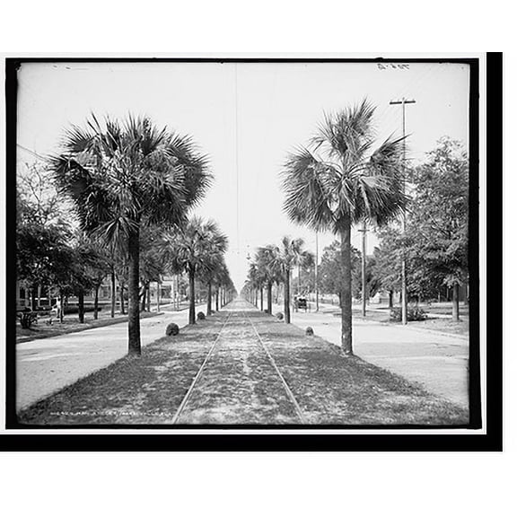 Historic Print, Main Street, Jacksonville, Fla., 16" x 20"