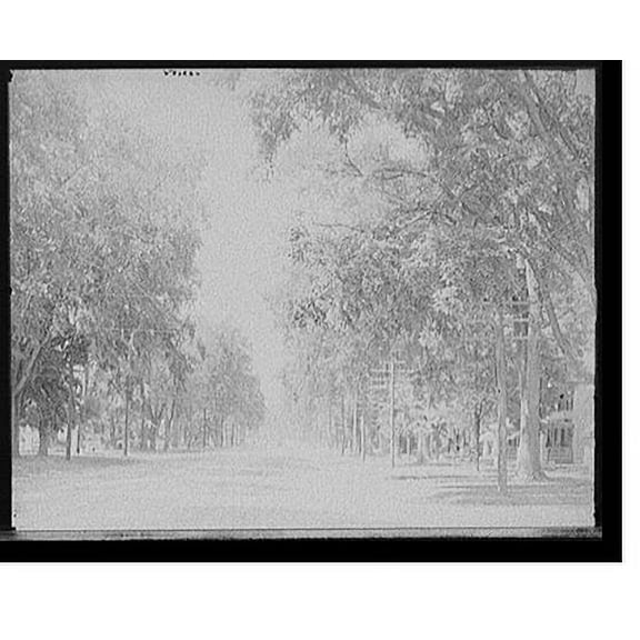 Historic Print, [Main Street, Keene, N.H.], 18" x 24"