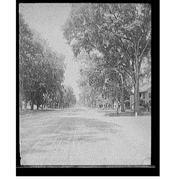 Historic Print, Main Street, looking north, Keene, N.H., 18" x 24"