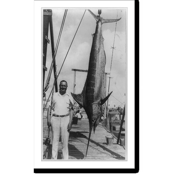 Historic Print, [Man holding fishing rod standing next to swordfish hanging from rope on pier], 18" x 24"