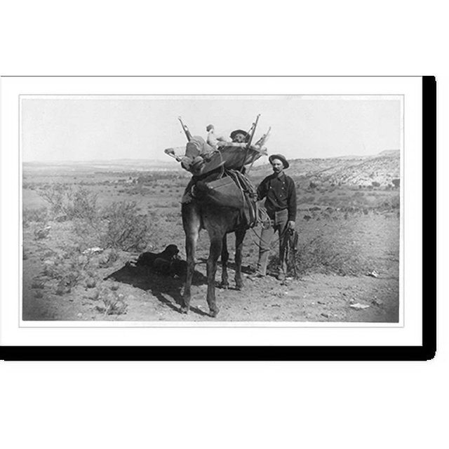 Historic Print, [Man in mule litter, invented by Dr. Mearns, Fort Verde
