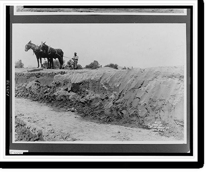 Historic Print, [Man using mules to grade area flood had destroyed