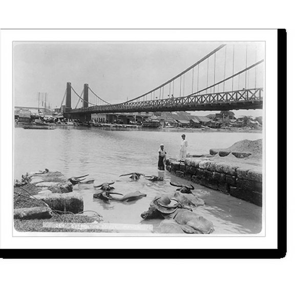 Historic Print, Manila, Philippine Islands: Suspension bridge - 2, 16" x 20"