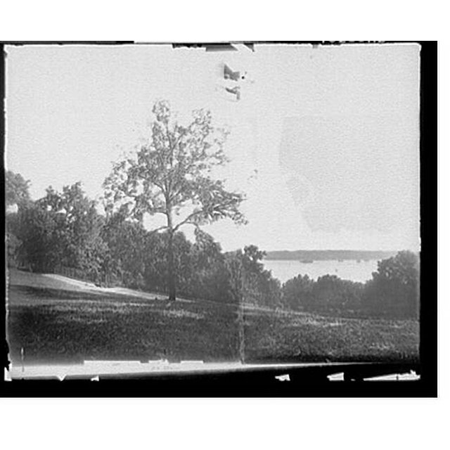 Historic Print, Mansion and grounds, Mount Vernon, Va. 3, 16" x 20