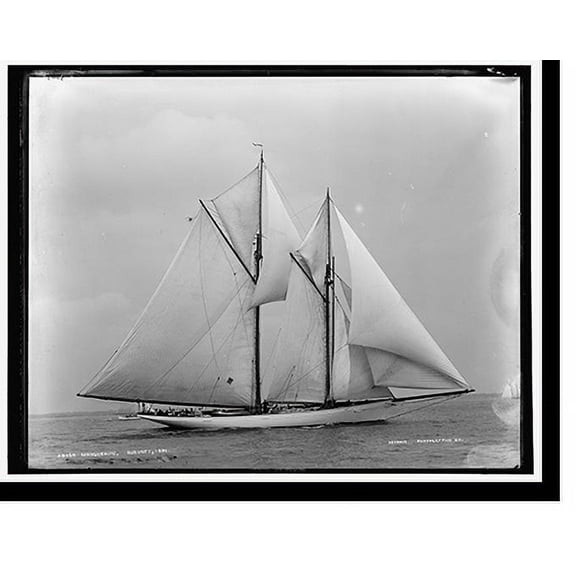 Historic Print, Marguerite, 16" x 20"