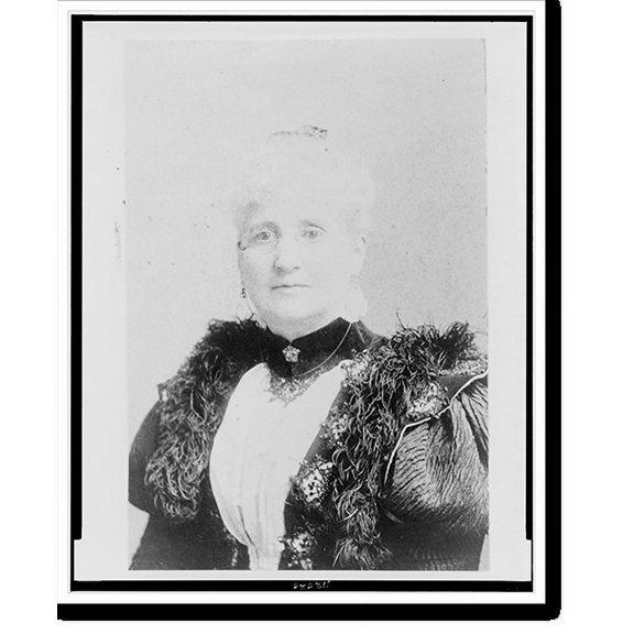Historic Print, [Marietta Holley, head-and-shoulders portrait, facing slightly left], 18" x 24"