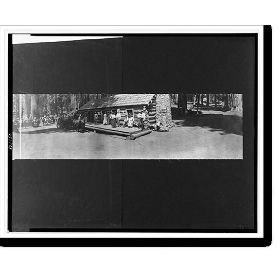 Historic Print, Mariposa Big Tree Grove, Cal. 1908 - 3, 16" x 20"