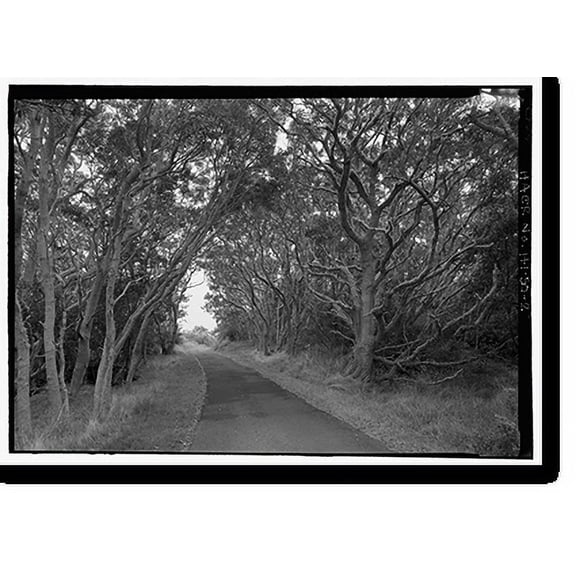 Historic Print, Mauna Loa Road, Volcano, Hawaii County, HI - 2, 16" x 20"