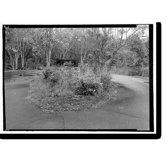 Historic Print, Mauna Loa Road, Volcano, Hawaii County, HI - 9, 16" x 20"