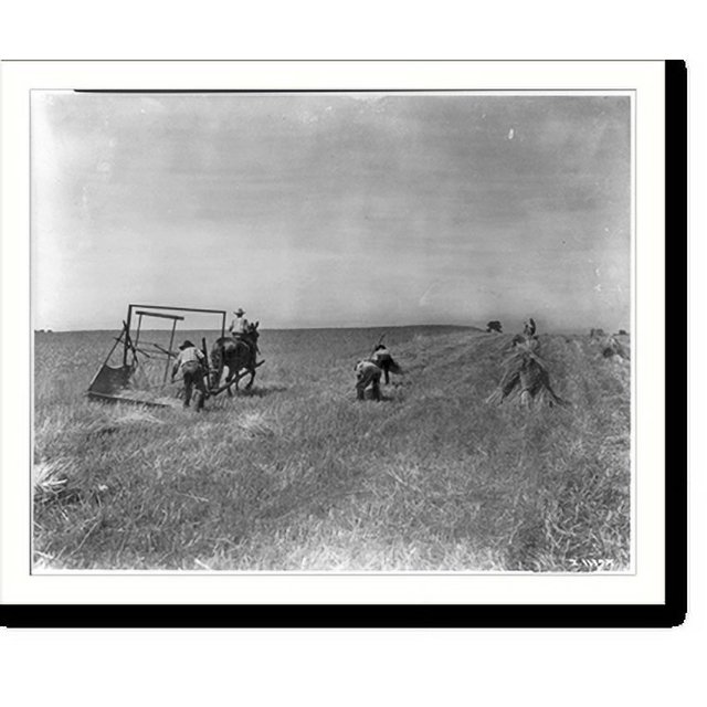 Historic Print, [Men binding grain being cut by McCormick's horsedrawn