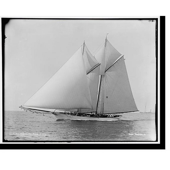 Historic Print, Merlin - 3, 16" x 20"