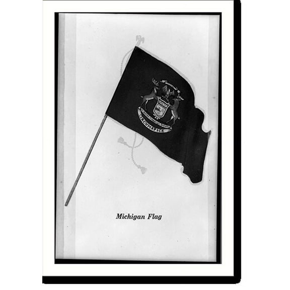 Historic Print, Michigan flag, 16" x 20"