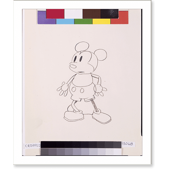 Historic Print, [Mickey Mouse inbetweener drawing no. 469 or 479 from Steamboat Willie], 16" x 20"
