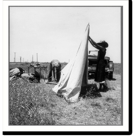 Historic Print, Migrant potato pickers pitching their tent. Often they are without water and sanitary conditions. Near Shafter, California, 16" x 20"