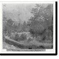 Historic Print, Mirror Lake Yosemite Valley, Mariposa County, 16" x