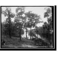 thumbnail image 1 of Historic Print, Misenor's Ldg. on the Tomoka, 18" x 24", 1 of 3