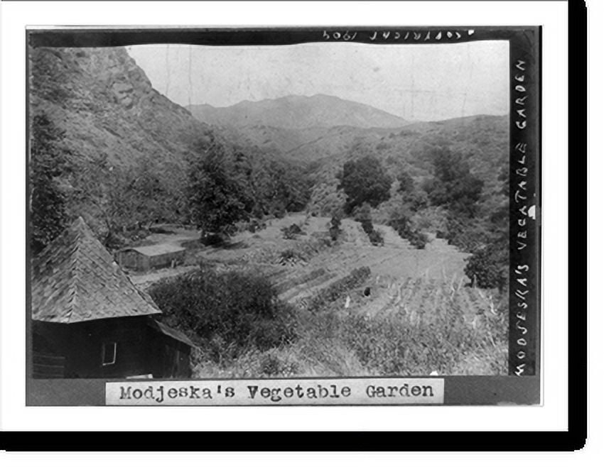 Historic Print, Modjeska's vegetable garden, 16" x 20"