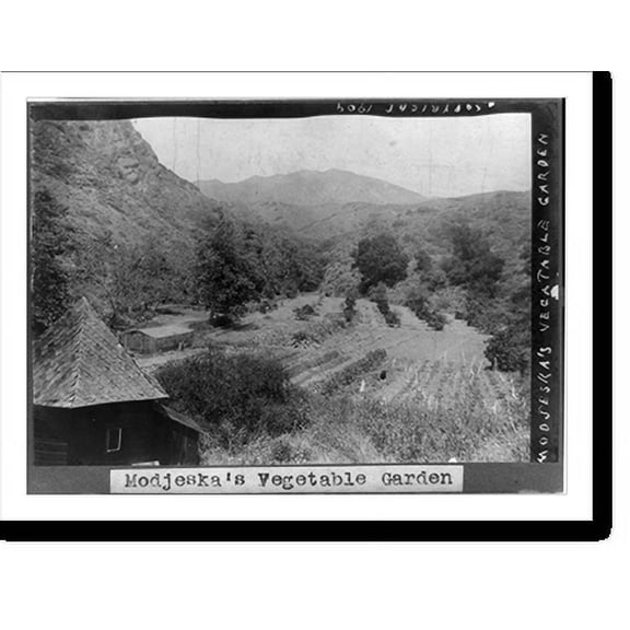 Historic Print, Modjeska's vegetable garden, 18" x 24"