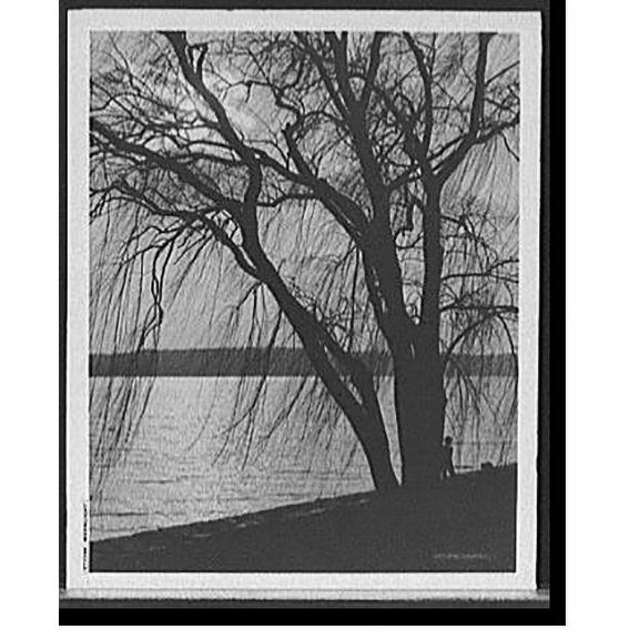 Historic Print, Moonlight, 18" x 24"