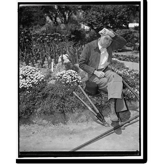 Historic Print, Mopping his brow and a rest. Washington, D.C., May 7. Rep. W.R. Poage of Texas, taking a rest after working in the Botanical Gardens, (see other caption on first picture...18" x 24"